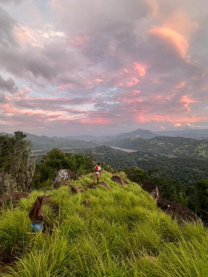 Rukgala Retreat Bed & Breakfast ดิกานา ภายนอก รูปภาพ